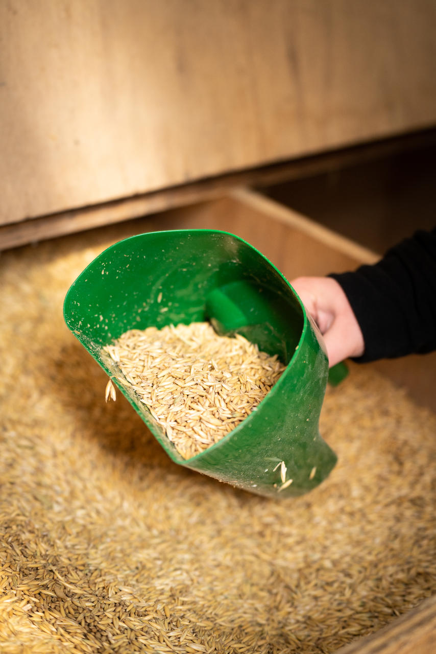 WAHL-Hausmarke Pelle à aliments fermée verte 1,5 kg