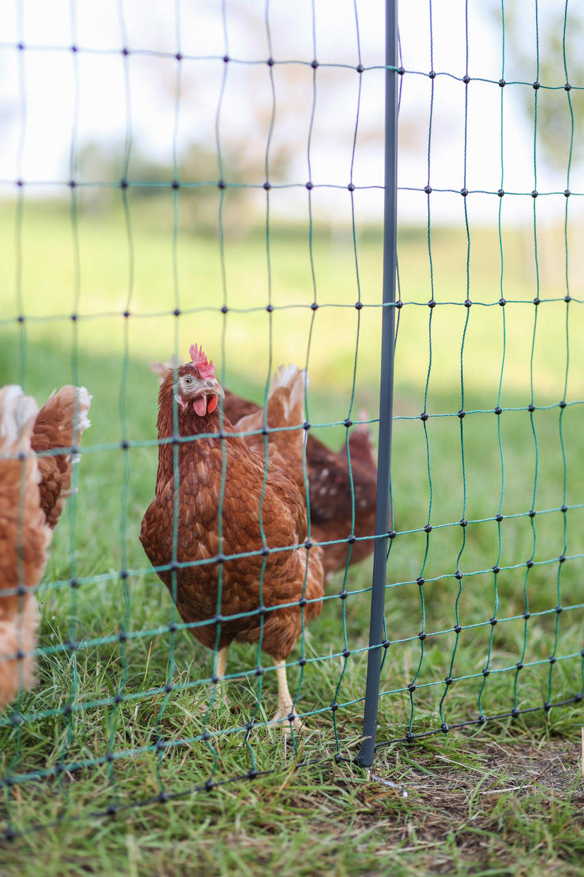AKO PoultryNet Premium