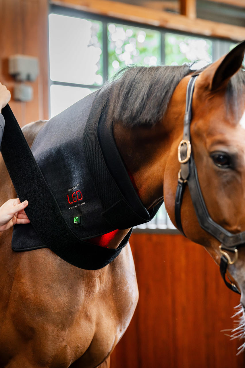 Horseware Pad de thérapie par lumière rouge LED