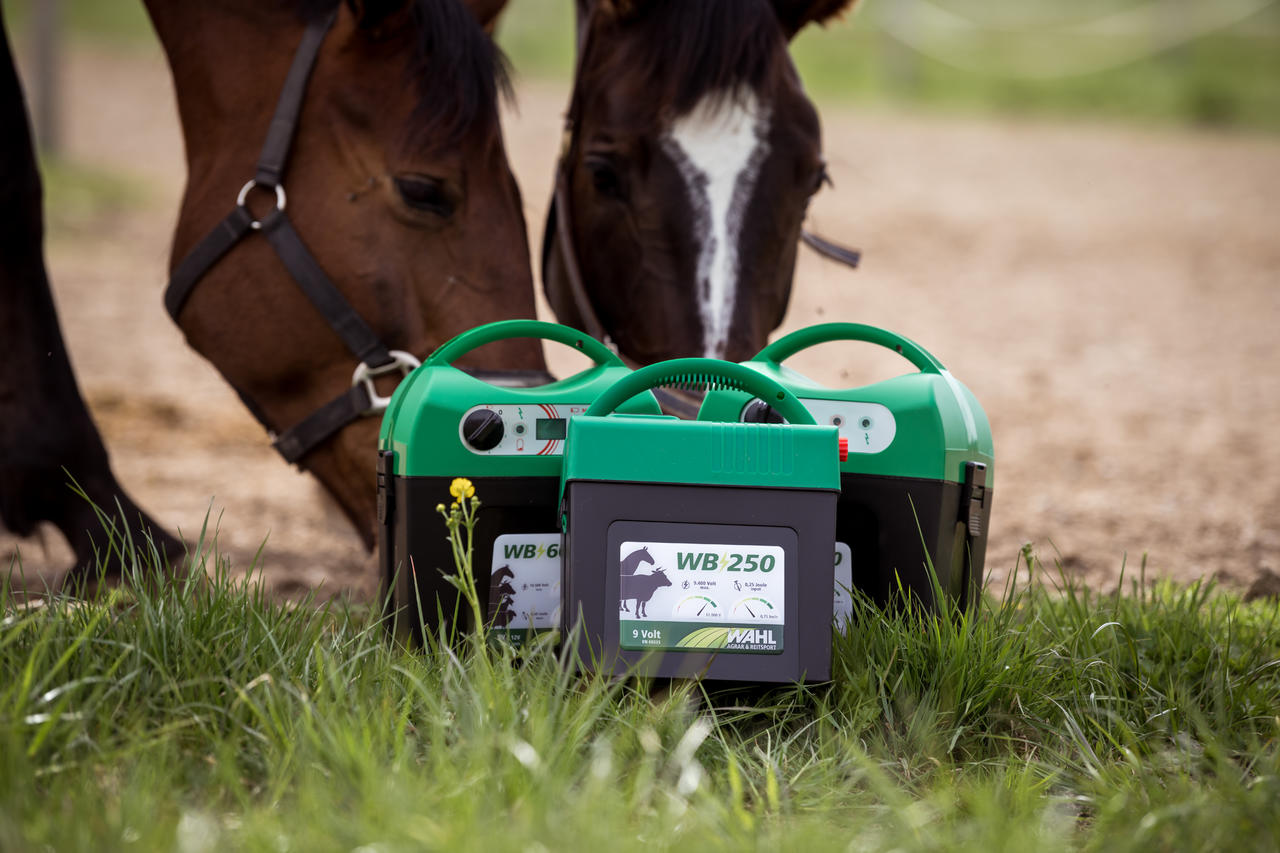 WAHL-Hausmarke WB 250 - électrificateur de clôture à batterie 9V