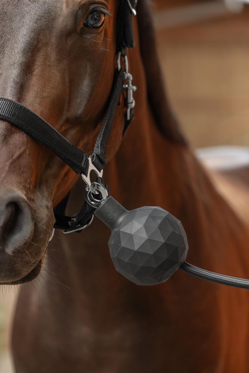Covalliero Balle de protection pour mousqueton