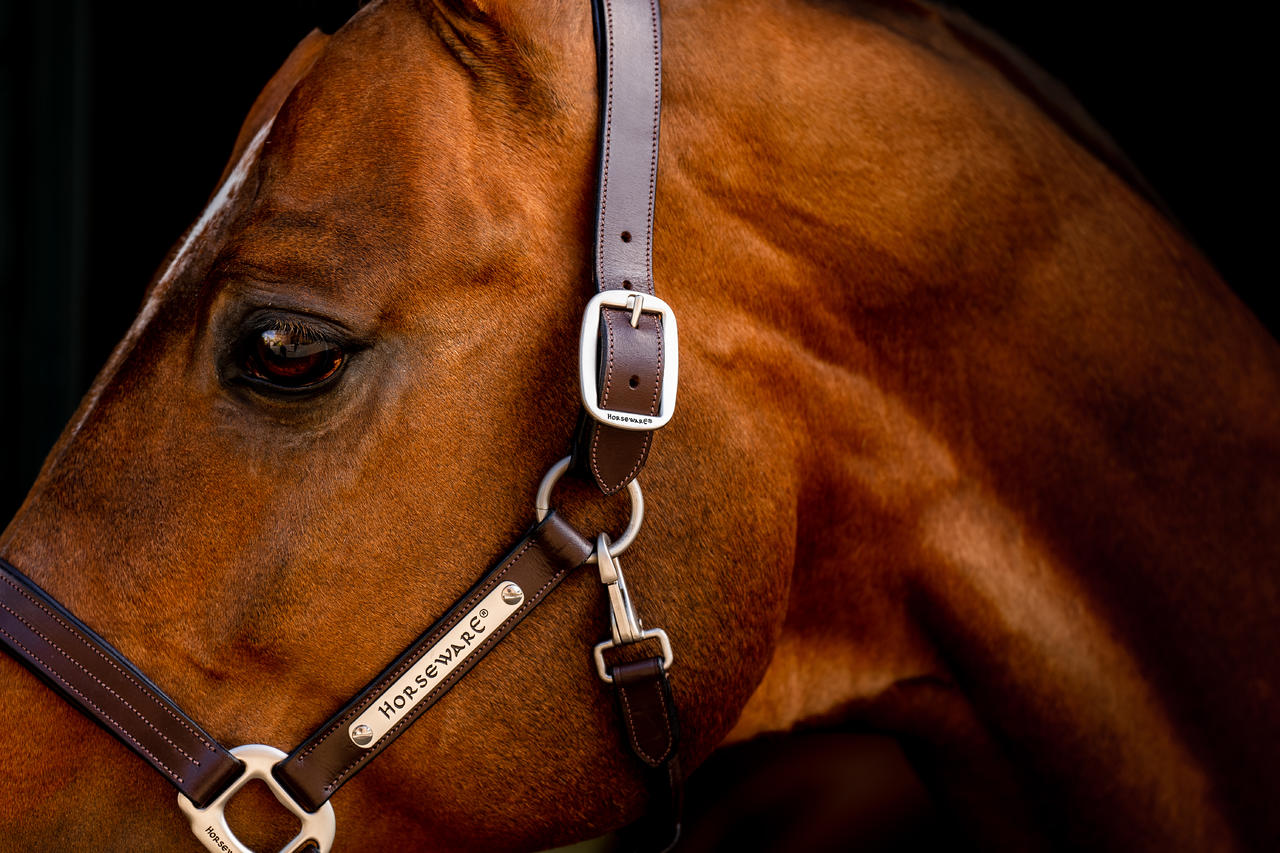 Horseware Licol Signature