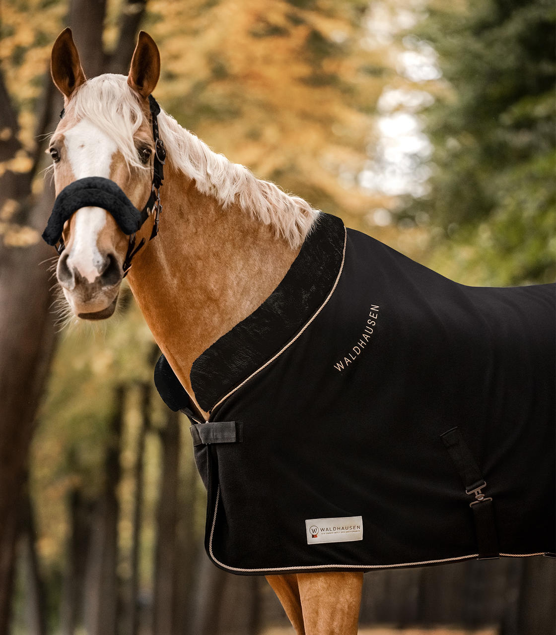 Waldhausen Couverture polaire MODERN ROSÉ