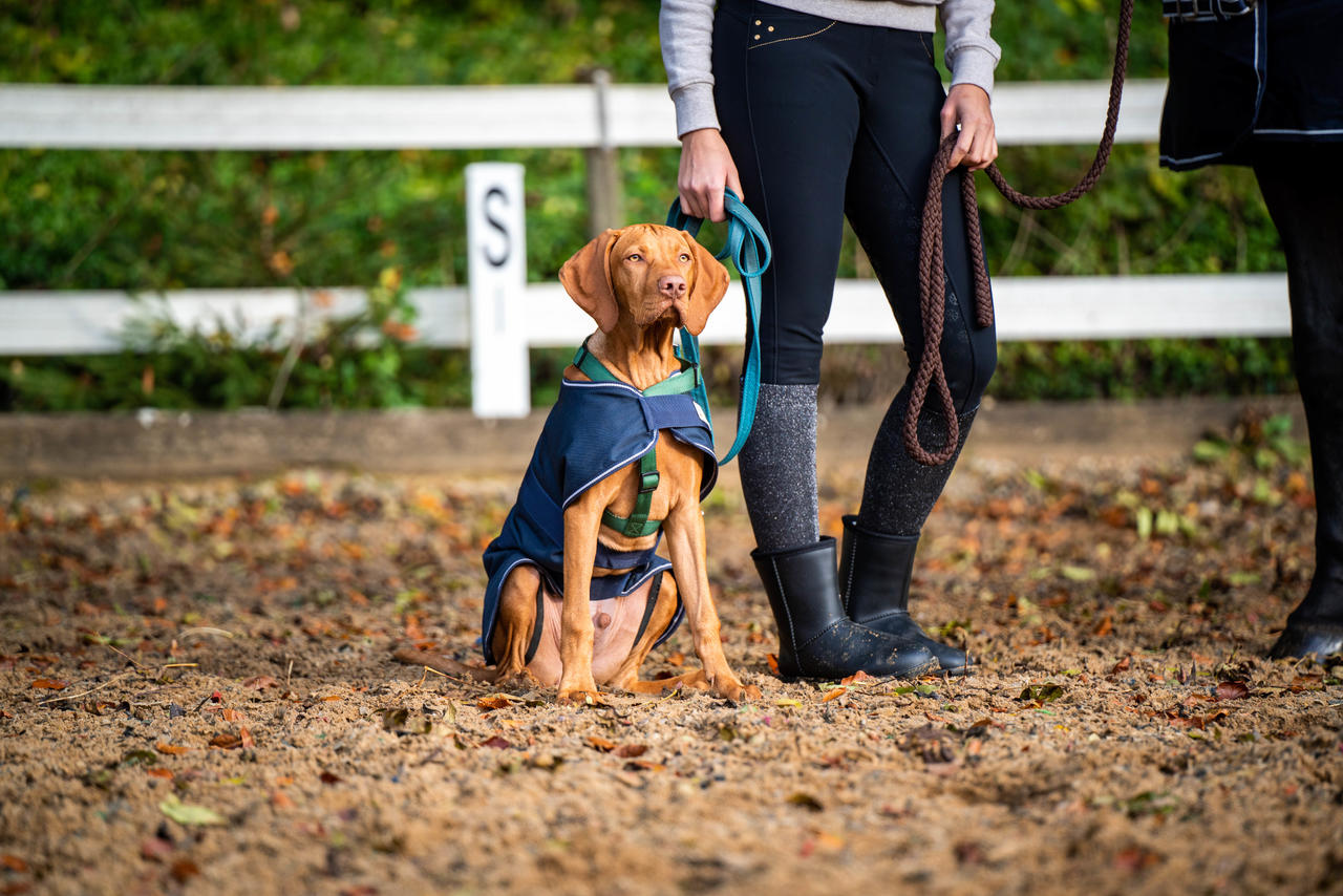 ELT Bottines Rainless