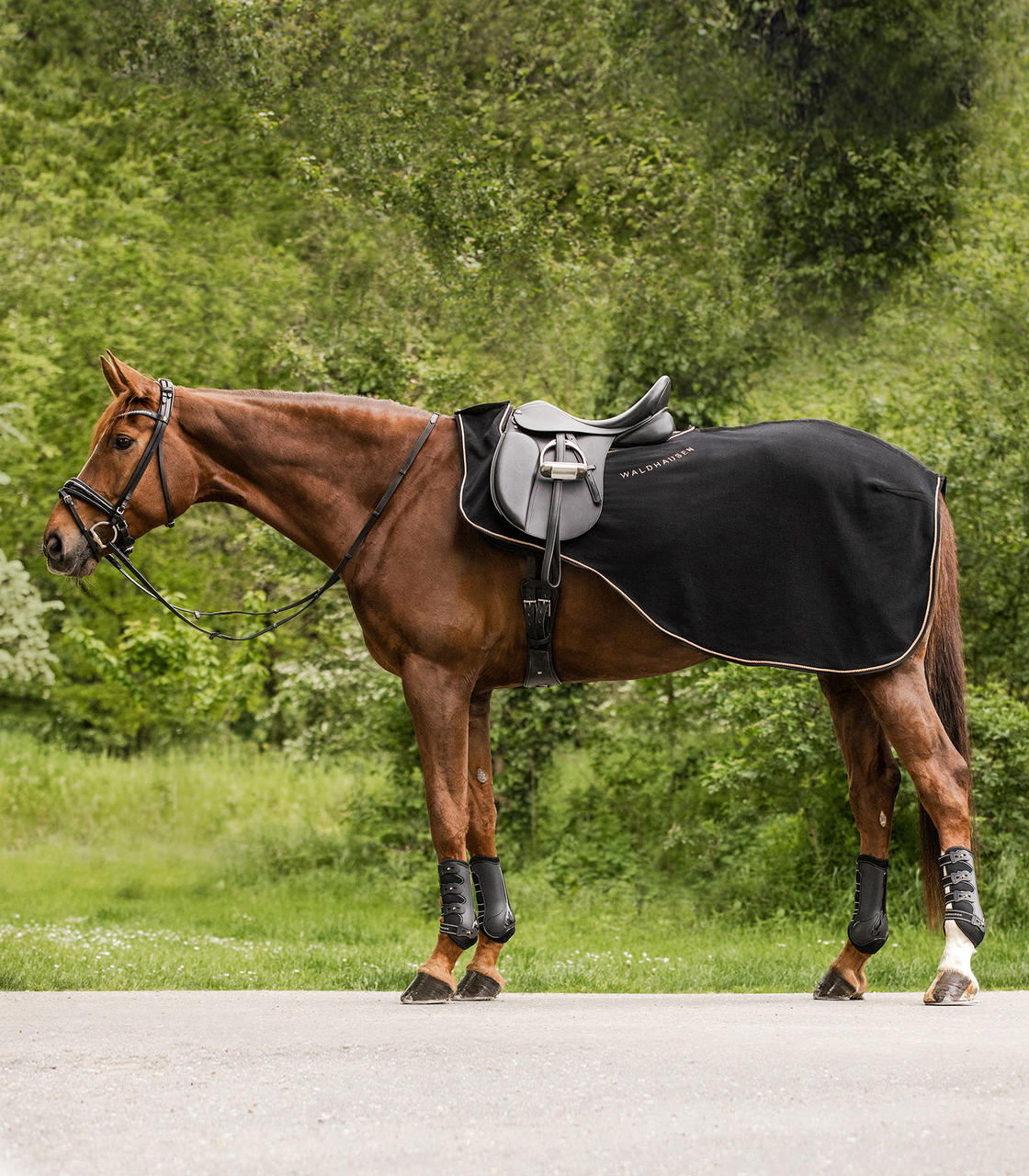 Waldhausen Couvre-Reins Modern Rosé