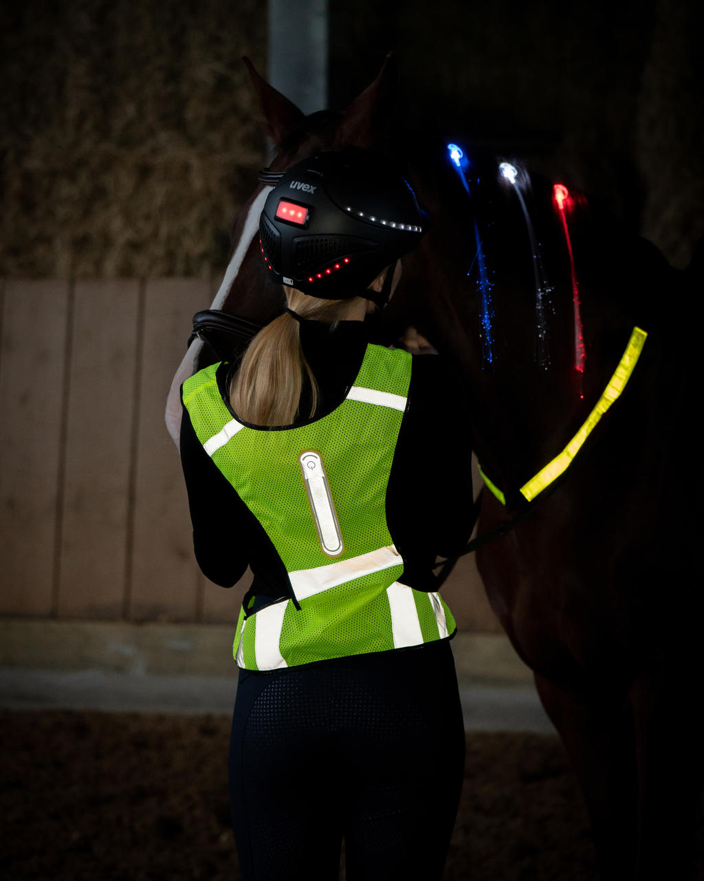 USG Clips LED pour la crinière