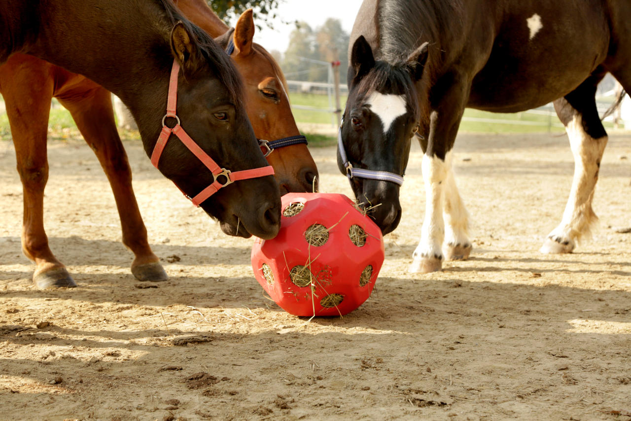 Kerbl Balle de jeu de foin
