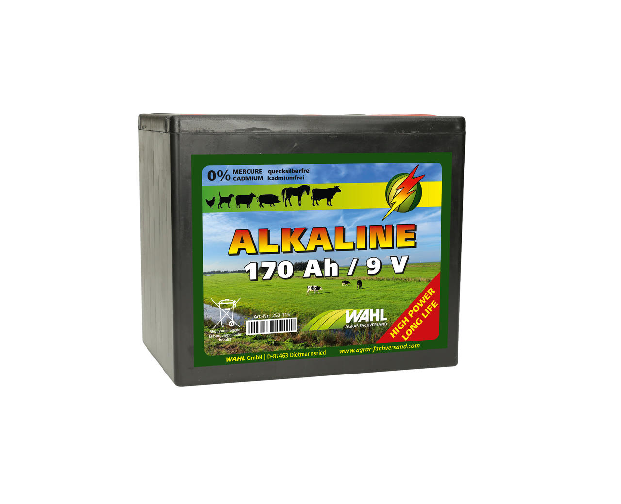 WAHL-Hausmarke Batterie pour clôture électrique 9 V - 170Ah