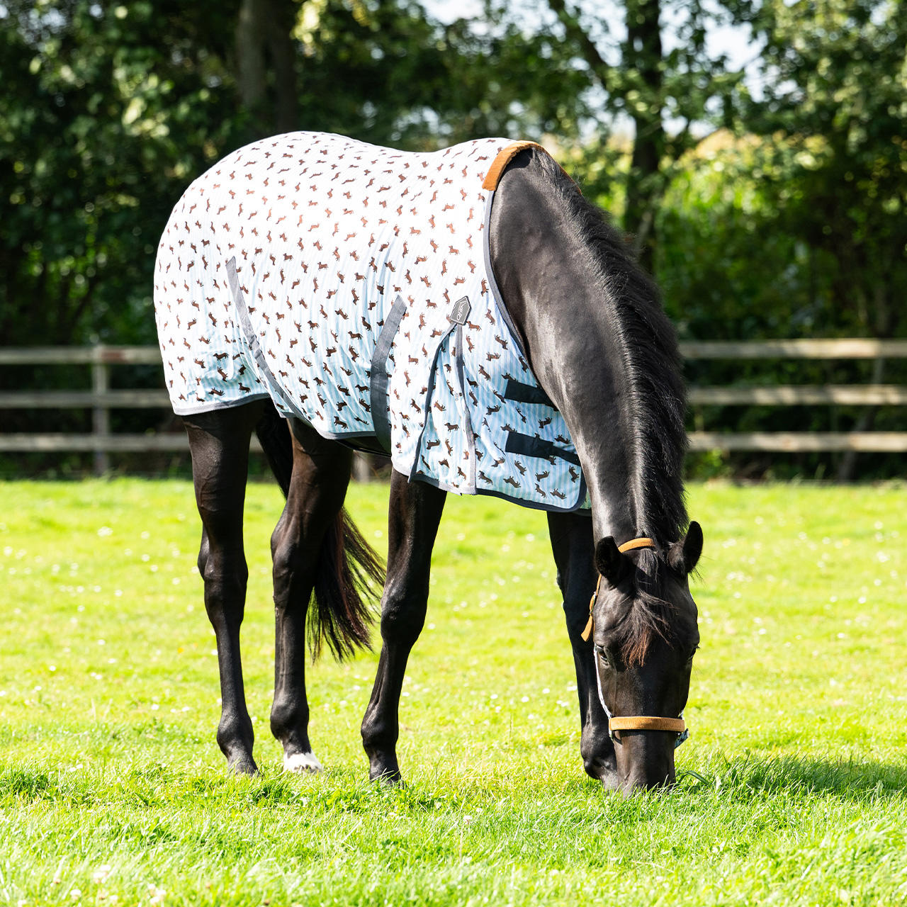 QHP Chemise anti-mouches Stable Buddy