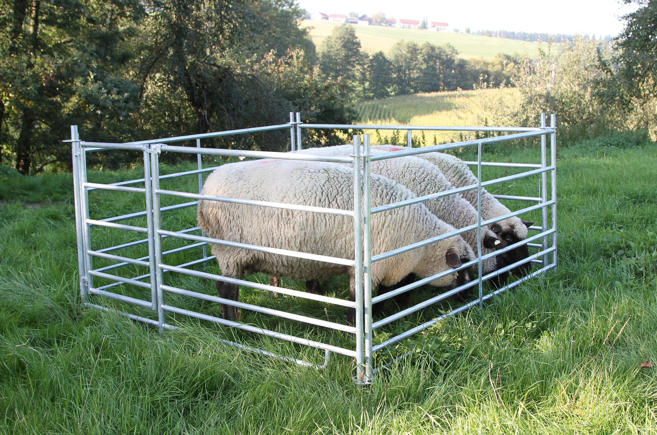 AKO Claies amovibles longueur 2,75 m, hauteur 0,92 m