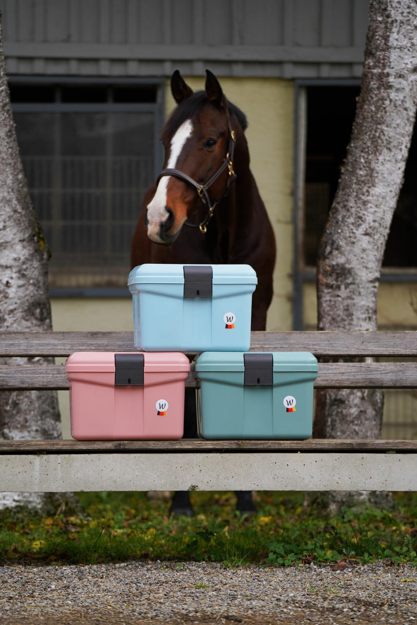 Waldhausen Coffre de pansage Eco