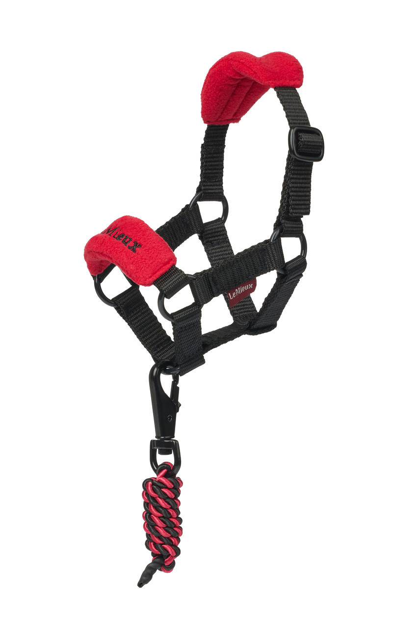 LeMieux Licol Vogue pour jouet Toy Pony