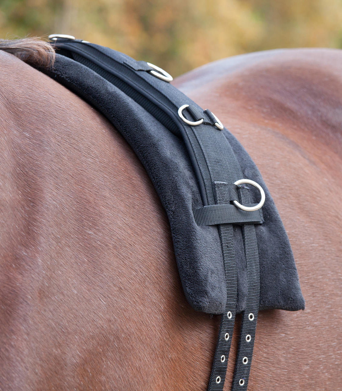 Waldhausen Pad de Surfaix en mousse à mémoire de forme Waldhausen Pad de Surfaix en mousse à mémoire de forme