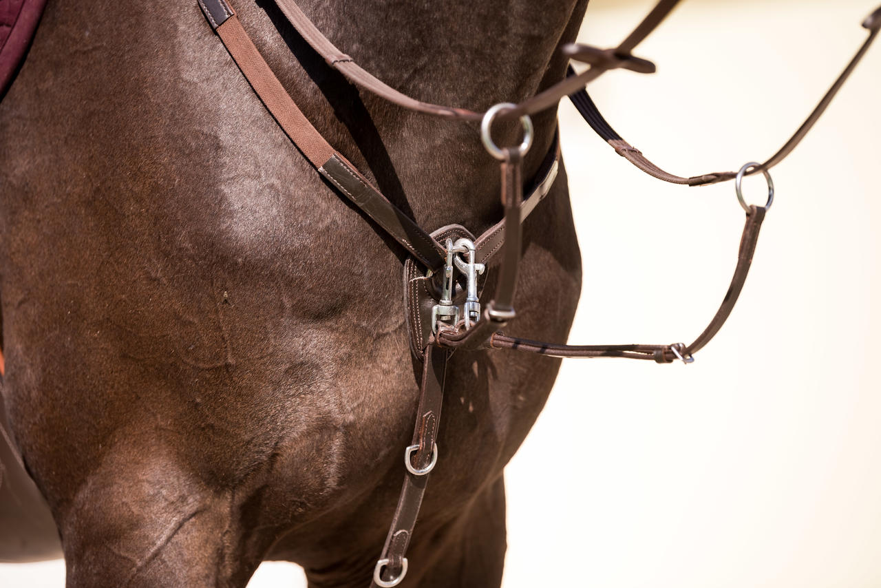 Waldhausen Collier de chasse X-Line