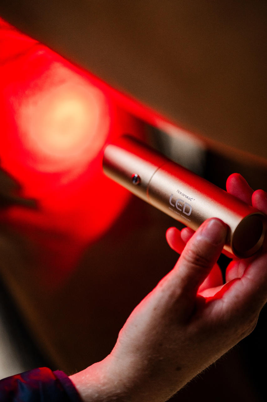 Horseware Baguette de thérapie par lumière rouge LED