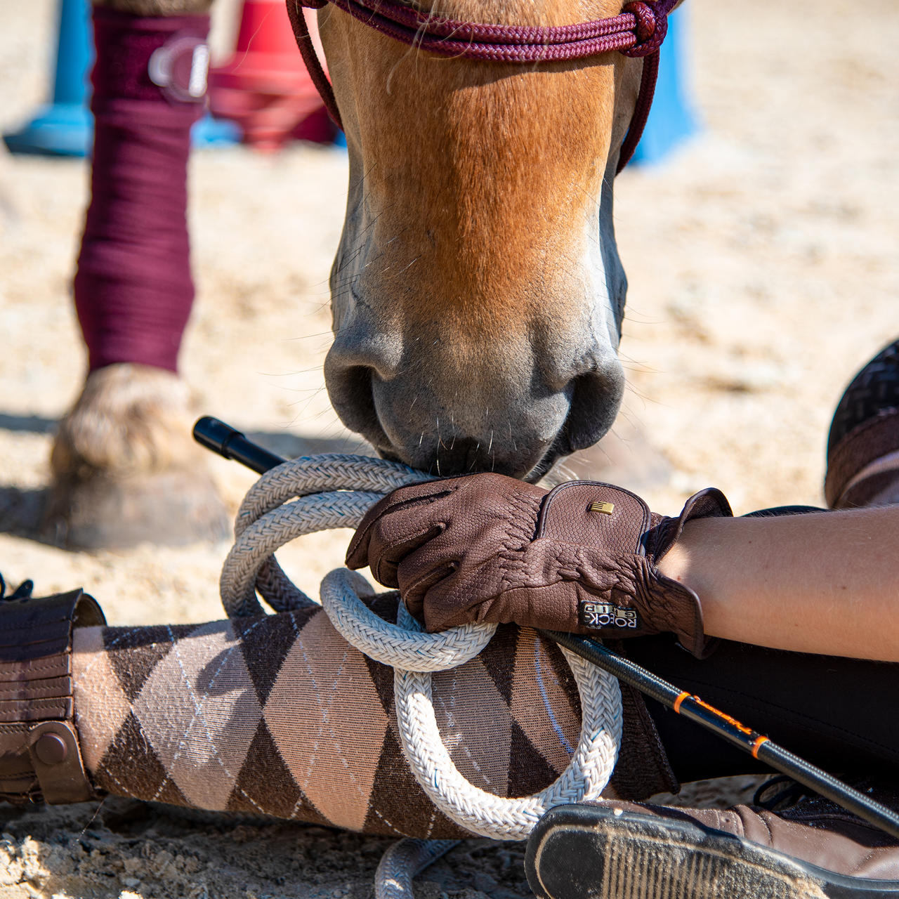Roeckl Gants d'équitation Roeck Grip