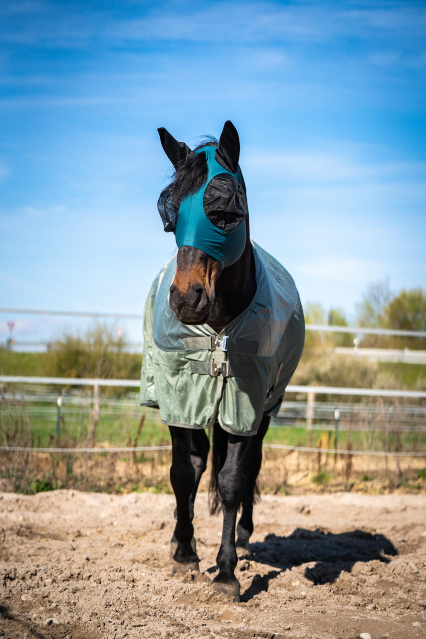 Busse Masque anti-mouches Twin Fit Flexi