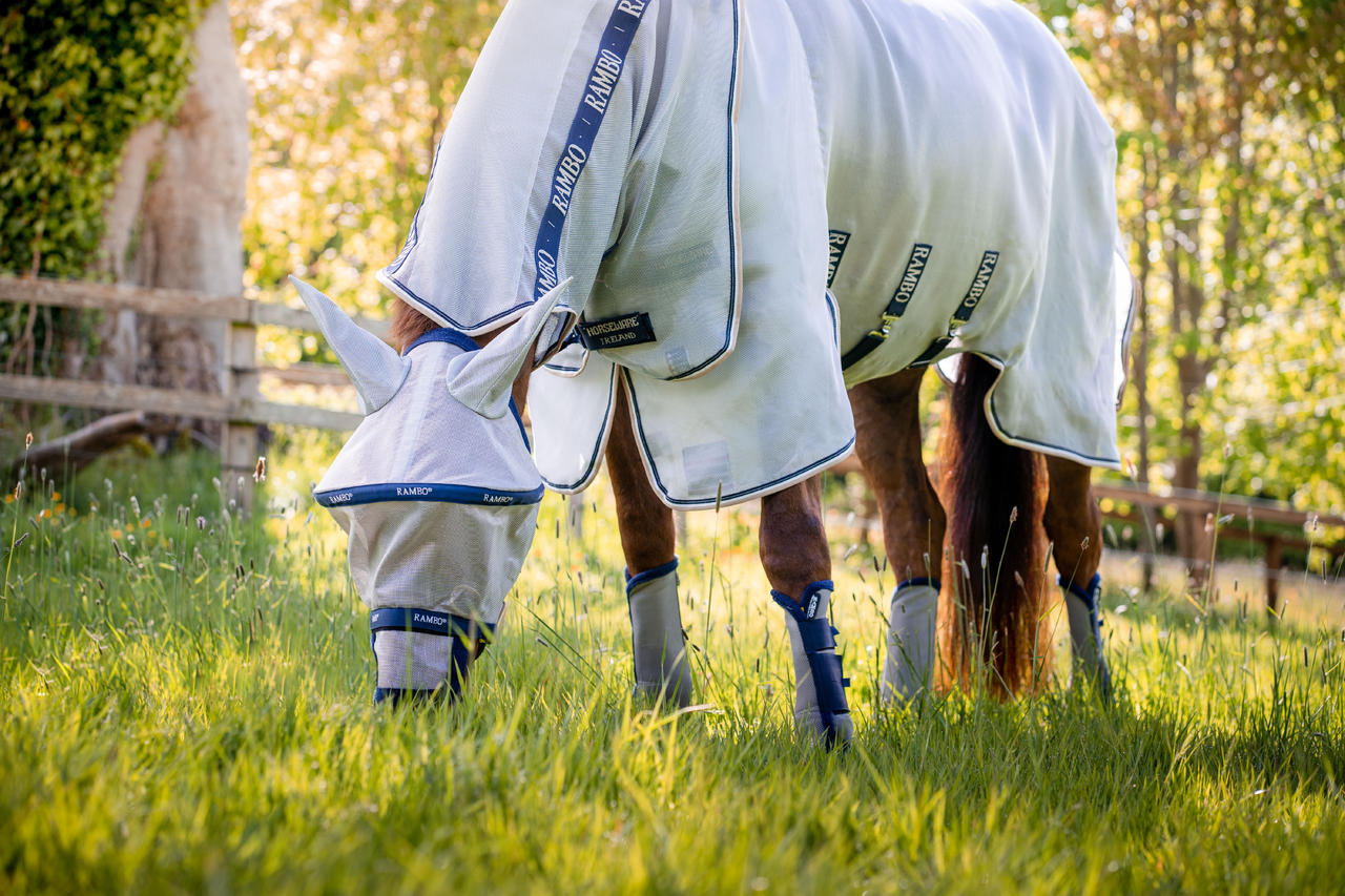 Horseware Chemise Rambo Protector Plus Horseware Chemise Rambo Protector Plus