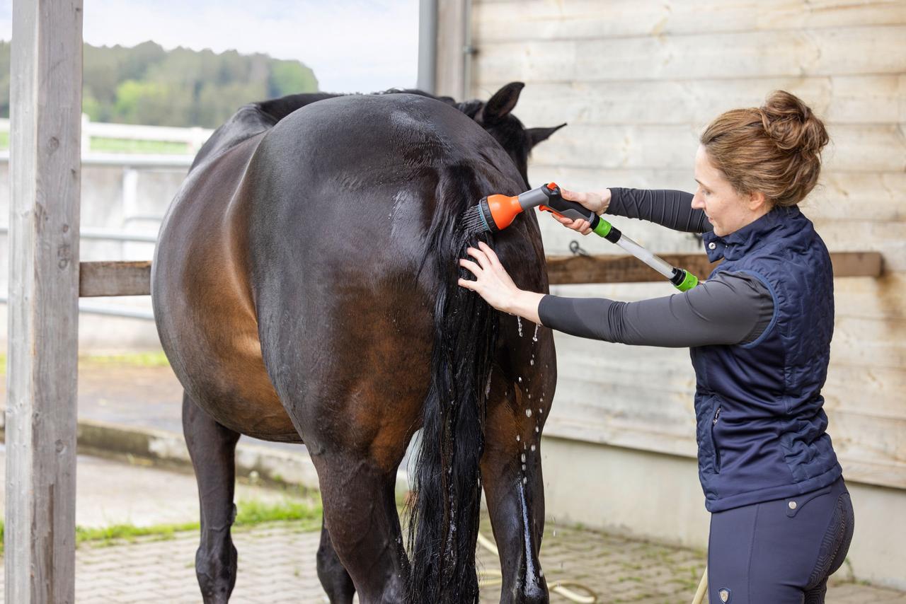 Kerbl MagicBrush Kit de démarrage de douche saline pour chevaux