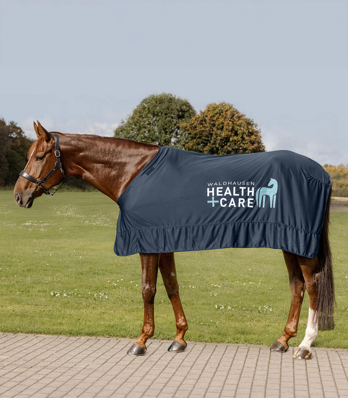 Waldhausen Health & Care Couverture Ice Layer W-Health & Care