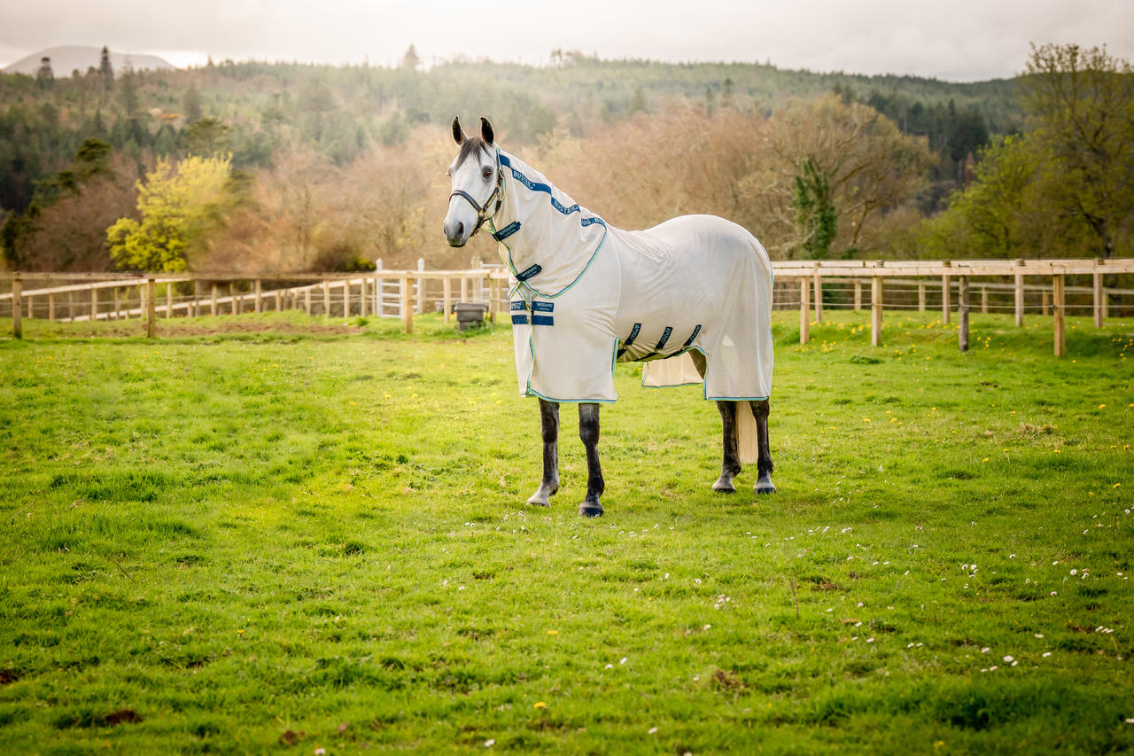 Horseware Couverture Amigo Bug Buster Plus