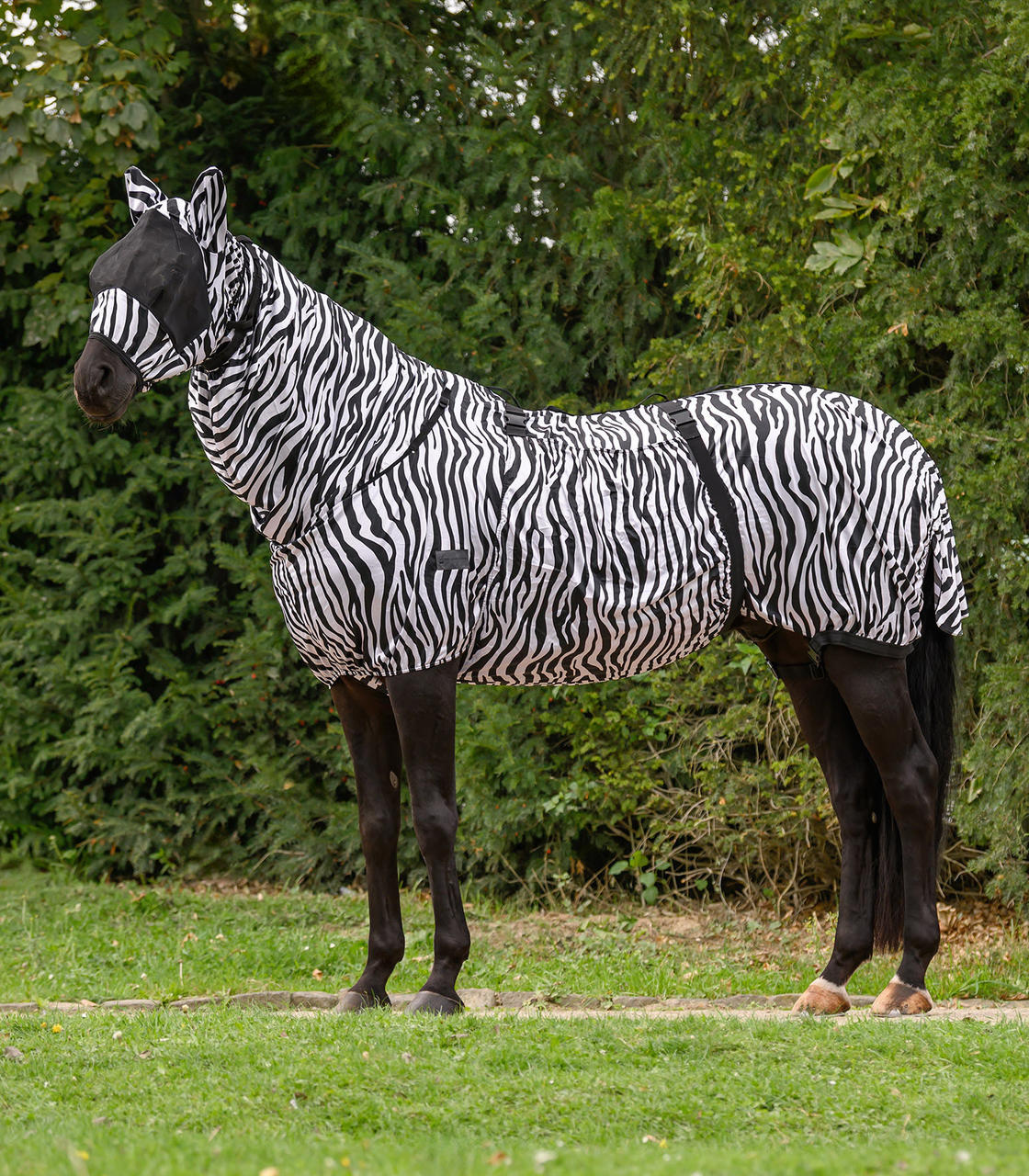 Waldhausen Couverture Anti-eczéma Zebra Premium » Couleur: noir/blanc ...