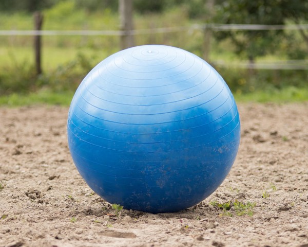 QHP Ballon de jeu pour chevaux