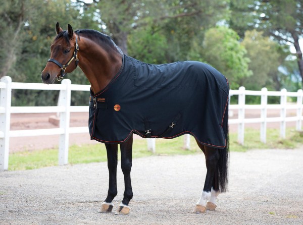 Horseware Couverture Rambo Ionic Stable Sheet