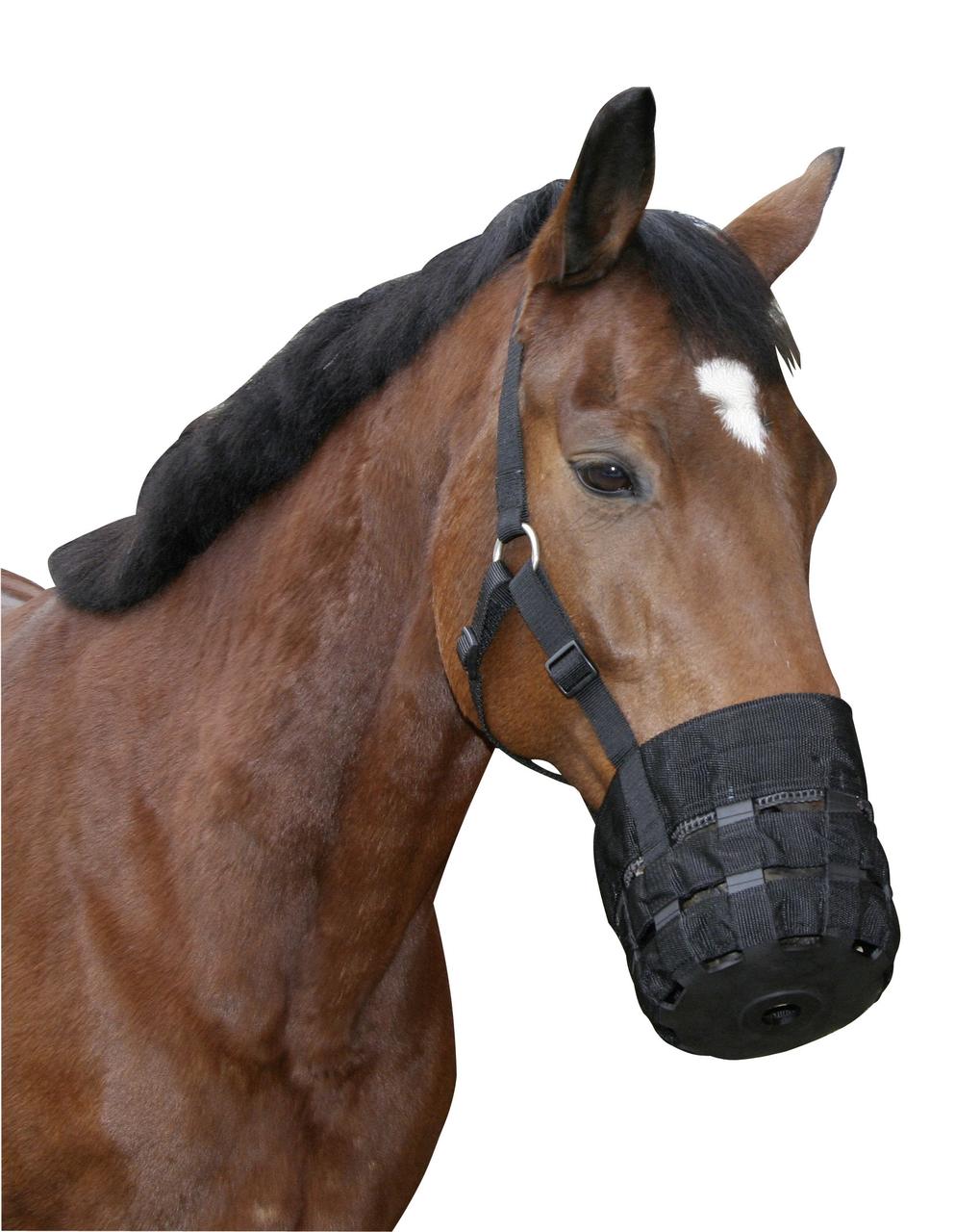 Masque Pâturage QHP Pour Chevaux - Cob Noir - Limiteur De Broutage